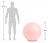 Piłka gimnastyczna 65 cm piłka do ćwiczeń fitness ciążowa Podgląd zdjęcia produktu 7