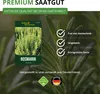 Rosmarin Mehrjährig Samen - Rosmarinus officinalis - Produktbild-Vorschau 8