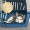 Felisept Home Comfort Spray für Katzen 100 ml Produktbild-Vorschau 3
