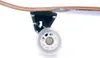 Longboard TROPIC T Anteprima dell’immagine prodotto 4