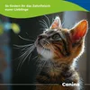 Canina Mikrosilber-Zahngel, 50 ml Produktbild-Vorschau 5