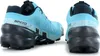 Salomon Speedcross 6 GTX W - GORE-TEX - Damen Trail-Running Produktbild-Vorschau 12