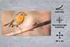 MuchoWow® Schreibtischunterlage Vogel - Zweig - Rotkehlchen Produktbild-Vorschau 2