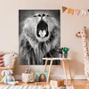 MuchoWow® Poster Tierprofil gähnender Löwe in schwarz und Produktbild-Vorschau 7