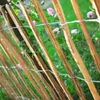 Staketenzaun Gartenzaun Zaunlatte Holzzaun Haselnussholz Produktbild-Vorschau 2