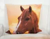 Herding Renforcé-Bettwäsche Pferd 135 x 200/80 x 80 cm Produktbild-Vorschau 4
