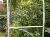 DanDiBo Arco di rose in metallo zincato solido 120 cm Arco Anteprima dell’immagine prodotto 3