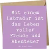 Mr. & Mrs. Panda Grußkarte Spruch Labradorleben - Produktbild-Vorschau 1