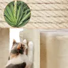 A collage showing a plant, rope texture, and a cat scratching a cat tree. Produktbild-Vorschau