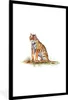 MuchoWow® MuchoWow® Gerahmtes Poster Tiger - Weiß - Gras Produktbild-Vorschau 1