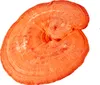 MycoMedica Reishi 30% 90 kapsúl Náhľad obrázku produktu 3