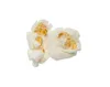 10 kg Mais für Popcorn 2er- Pack 5 kg Popcorn-Mais Produktbild-Vorschau 6