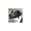 Trixie Maulkorb Polyester, schwarz, M-L, 26 cm Produktbild-Vorschau 8