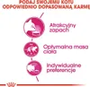 Royal Canin Exigent 33 Aromatische aantrekkingskracht - Productafbeelding-voorbeeld 5