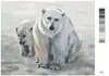 Zuty - Malen nach Zahlen - EISBÄR MIT JUNGTIER (D. RUSTY Produktbild-Vorschau 3
