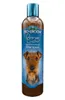 BioGroom Bronze Lustre Shampoo colorato per cani, Anteprima dell’immagine prodotto 1