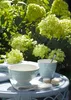 Greengate Geschirrtuch Allyna White Produktbild-Vorschau 7