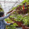Metall Ketten,Kette Blumenampel,6 Stück Pflanzenhänger Produktbild-Vorschau 2