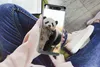 MuchoWow® Handyhülle Schutzhülle Hülle für Samsung Galaxy Produktbild-Vorschau 3