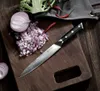 PAUDIN C5 Damast Tranchiermesser 20 cm – Japanisches Produktbild-Vorschau 11