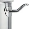 Fissler Original-Profi Collection / Braten-Topf (Ø 24 cm, Produktbild-Vorschau 5
