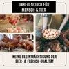 Collage of images showing chickens and eggs, with text overlays. Produktbild-Vorschau