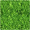 ARPON MICROCLOVER ABERCREST F1, 500 g Náhled obrázku produktu 7