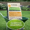 samore- Rasensamen schnellkeimend 5 kg I Nachsaat Rasen I Produktbild-Vorschau 3