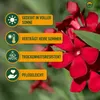 A close-up of red oleander flowers with green leaves, overlaid with marketing text and icons describing the plant's features. Voir les images du produit