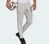 Pantalon Adidas GT6644 pour Homme Voir les images du produit 17