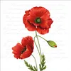 Serviette "Leuchtender Klatschmohn" 20 Stück Produktbild-Vorschau 2