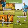 Collage showing a rollsammler being used to collect walnuts, chestnuts, and golf balls. Produktbild-Vorschau