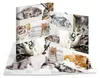 HERMA Sammelmappe A4 Katzen Pappe Anteprima dell’immagine prodotto 8