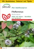 SAFLAX Anzucht Set - Pfefferminze - Mentha piperita - 300 Produktbild-Vorschau 1