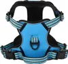 vidaXL Hundegeschirr Reflektierend Verstellbar Blau XL Produktbild-Vorschau 8