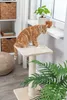 TRIXIE Kratzstamm Baena - beige - 69 cm Produktbild-Vorschau 4