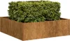vidaXL Bac à plantes rouillé 100x100x30 cm Acier résistant Voir les images du produit 2