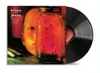 Alice In Chains - Jar Of Flies (LP) Podgląd zdjęcia produktu 2