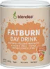 Blendea Fatburn Day Drink 100 g Náhled obrázku produktu 1