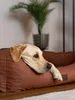 TrendPet Runa letto in Pelle finta marrone (100x75x30cm) Anteprima dell’immagine prodotto 11