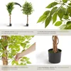Ficus artificiel FIDA à l'aspect naturel - 180 cm Voir les images du produit 4