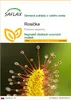 SAFLAX - rosička - Drosera capensis - 200 Semená Náhľad obrázku produktu 1