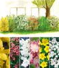 BALDUR Garten 6er 5 Meter Blüh-Hecken-Kollektion, Produktbild-Vorschau 2