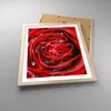 Gerahmtes Poster - Rahmen in heller Eiche - Rose Blume Produktbild-Vorschau 3