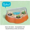 Kosmos 45496907, Experimentier-Set, Botanik, 6 Jahr(e) Produktbild-Vorschau 4