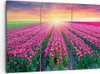 Bild auf Leinwand - Leinwandbild - Wiese Tulpen Produktbild-Vorschau 1