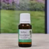 Eukalyptus-Öl, 15 ml Produktbild-Vorschau 4