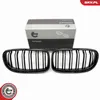 ESEN SKV 66SKV099 Kühlergrill Frontgrill für BMW 3 Coupe Produktbild-Vorschau 7