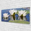 Glasbilder 125x50 Wandbild Druck auf Glas Blumen Pflanzen Produktbild-Vorschau 2