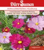 Dürr-Samen - Cosmea Prachtmischung einjährig 100-120 cm - Produktbild-Vorschau 2